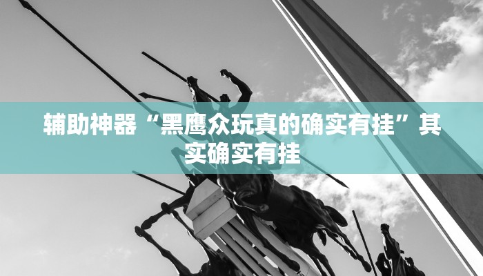 辅助神器“黑鹰众玩真的确实有挂”其实确实有挂 辅助神器“黑鹰众玩真的确实有挂”其实确实有挂