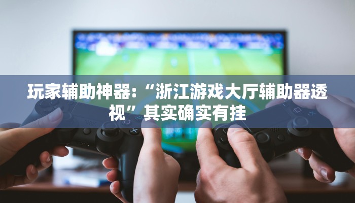 玩家辅助神器:“浙江游戏大厅辅助器透视”其实确实有挂