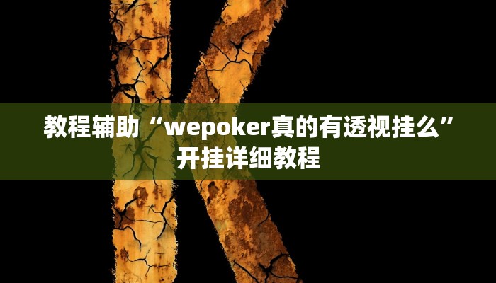 教程辅助“wepoker真的有透视挂么”开挂详细教程