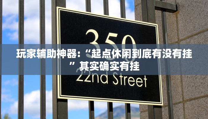 玩家辅助神器:“起点休闲到底有没有挂”其实确实有挂