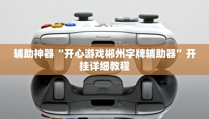 实测教程”新八戒怎么开挂”详细分享装挂步骤教程