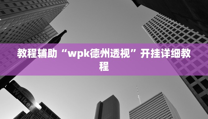 教程辅助“wpk德州透视”开挂详细教程 教程辅助“wpk德州透视”开挂详细教程