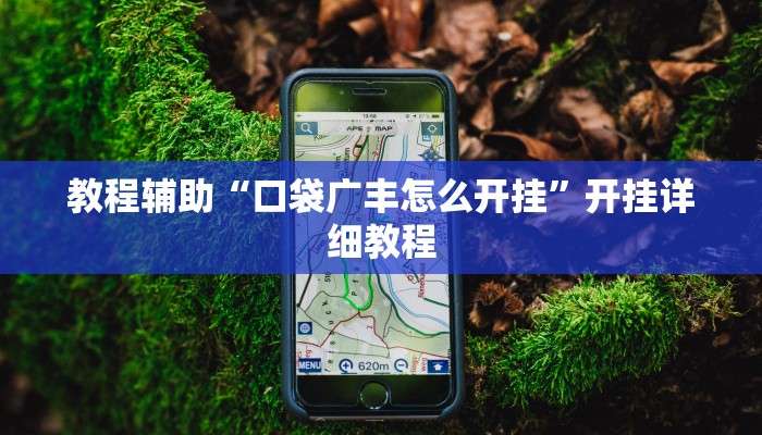 教程辅助“口袋广丰怎么开挂”开挂详细教程 教程辅助“口袋广丰怎么开挂”开挂详细教程